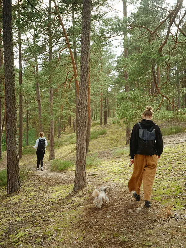 Deux jeunes femmes avec des sacs à dos promenant un petit chien sur un sentier de forêt de pins en Lettonie avec une lumière douce filtrant à travers les arbres
