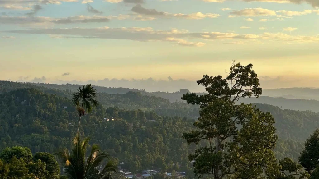 Vue de la jungle à Bali